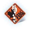 Canadian Safety Standards Training Alliance