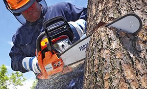 Chainsaw Training Course