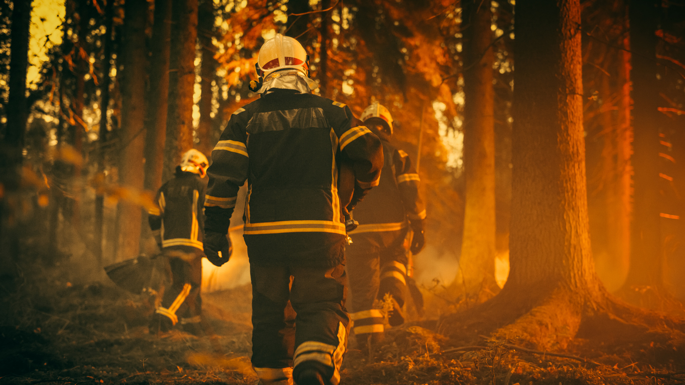 Adapting Onsite Fire and Rescue Teams for Alberta’s Wildland-Urban Interface (WUI) Fires