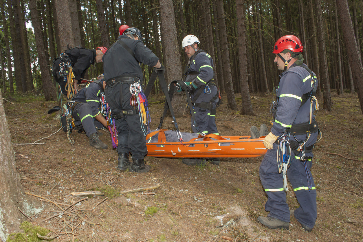 Adapting Onsite Fire and Rescue Teams for Alberta’s Wildland-Urban Interface (WUI) Fires